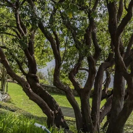 On The Unique Luxury Maggiore *