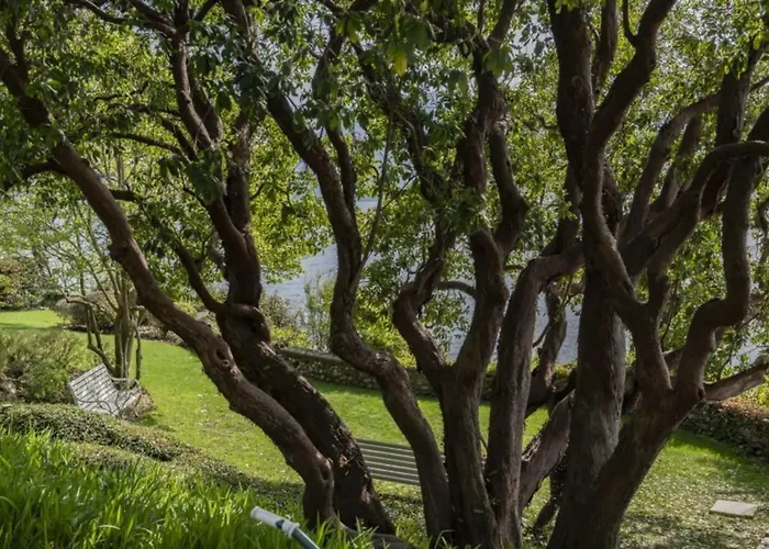 On The Unique Luxury Maggiore *